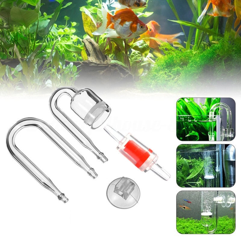 수족관 유리 탱크용 DIY CO2 디퓨저, 버블 반응기 - Live Plant Aquarium 리뷰 및 가격