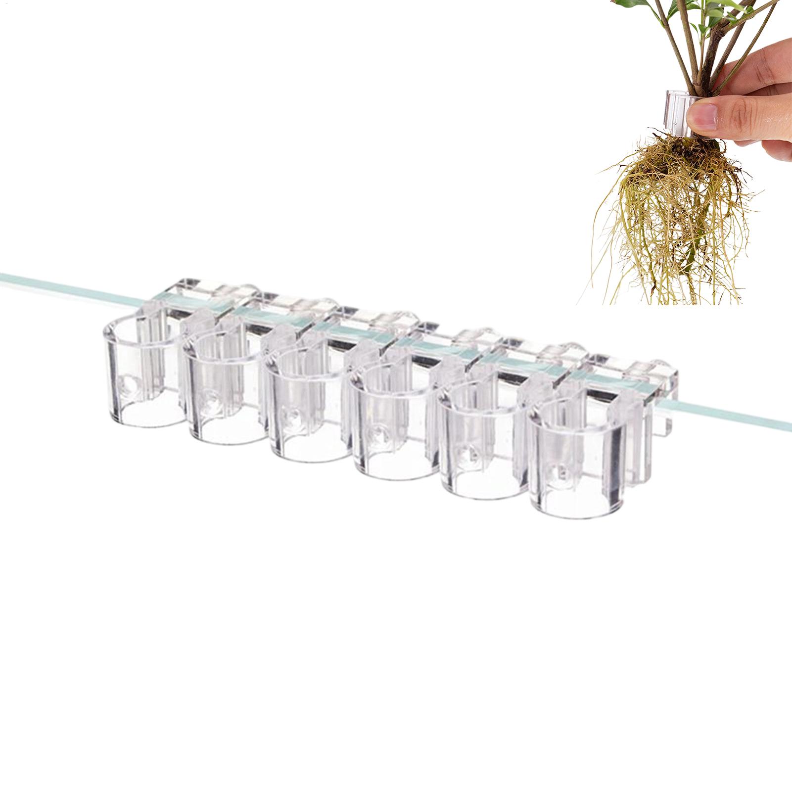 수족관 식물 홀더 투명 식재 브래킷 컵 어항 미니 화분 - Aquarium Plant Holder 리뷰 및 가격