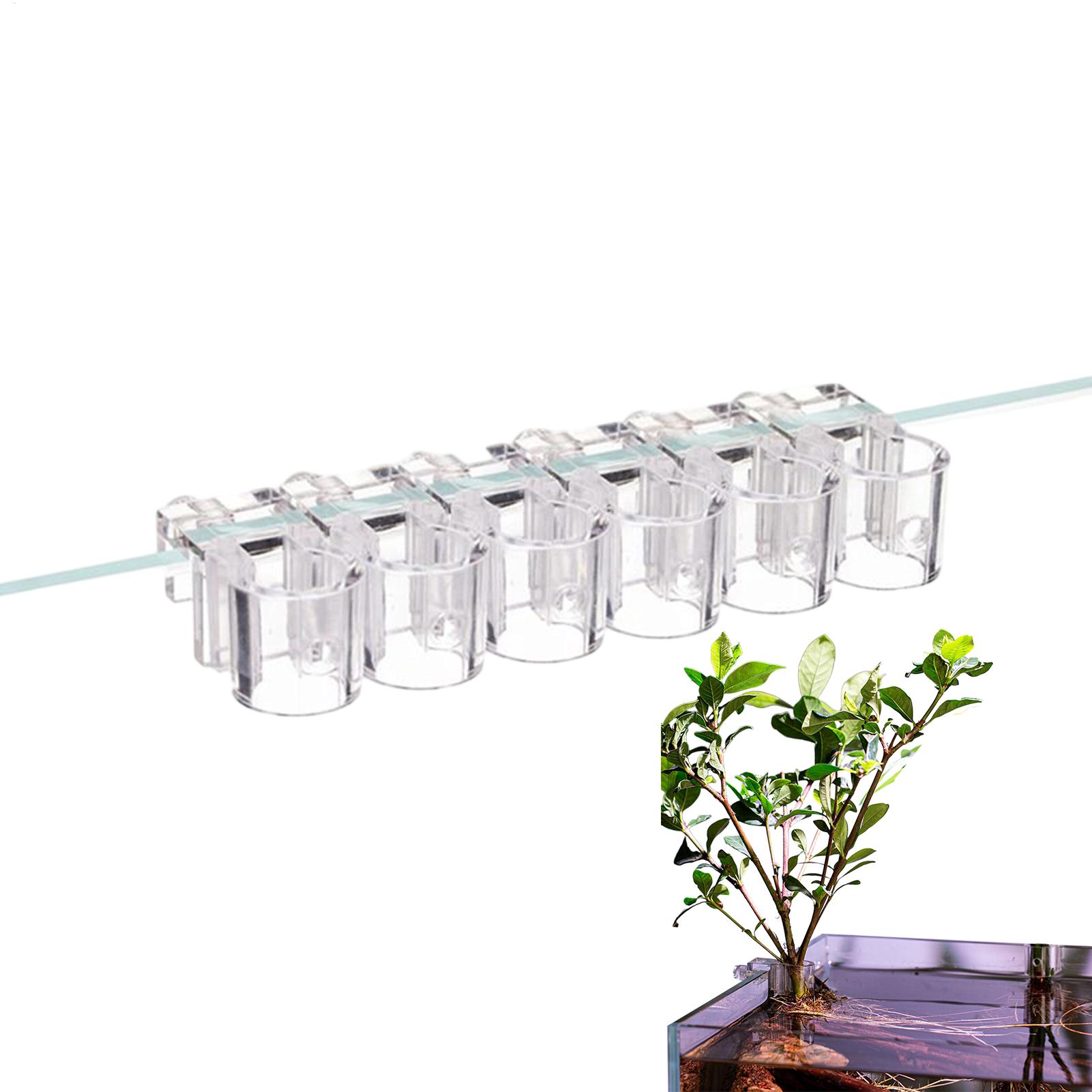 수족관 식물 홀더 투명 식재 브래킷 컵 어항 미니 화분 - Aquarium Plant Holder 리뷰 및 가격