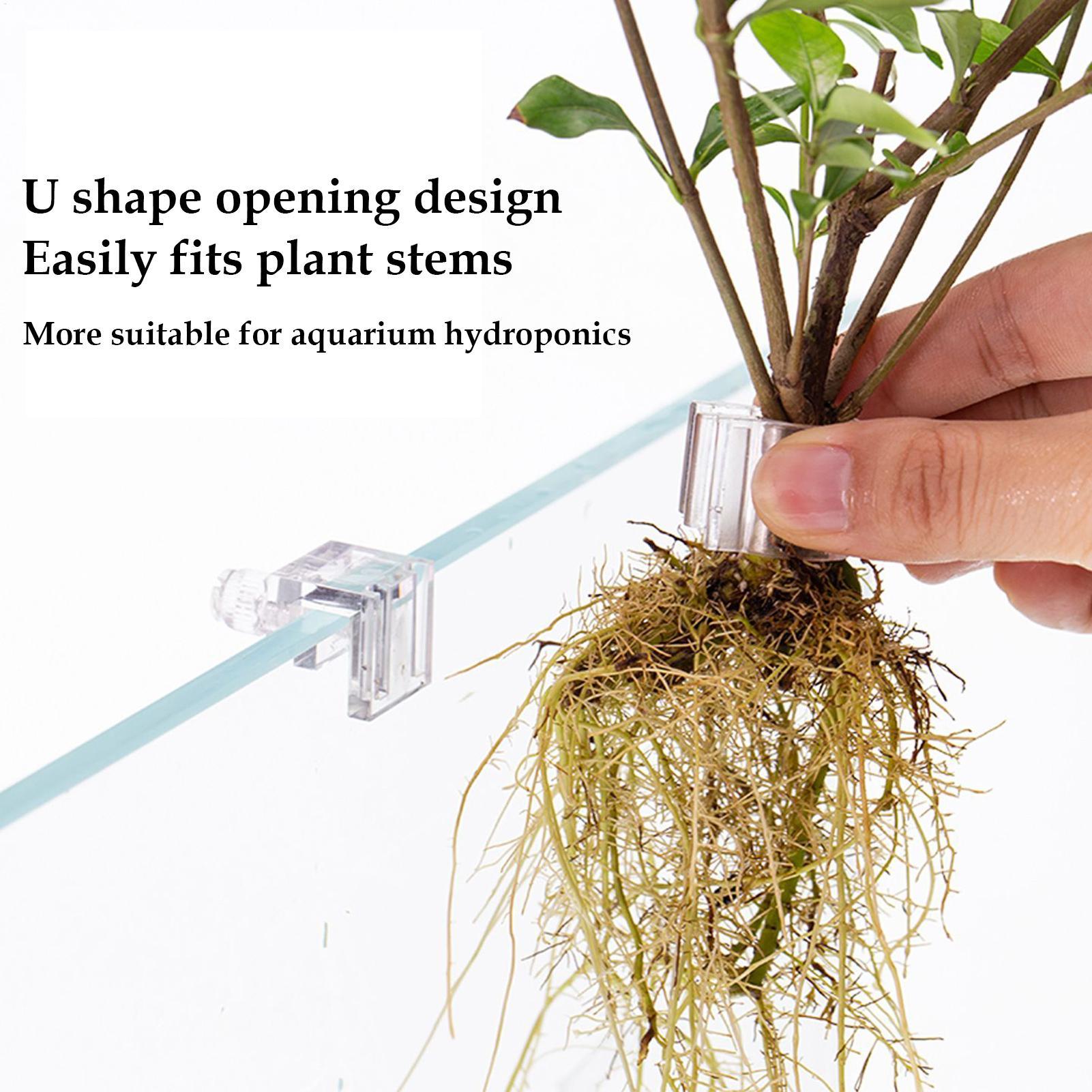 수족관 식물 홀더 투명 식재 브래킷 컵 어항 미니 화분 - Aquarium Plant Holder 리뷰 및 가격
